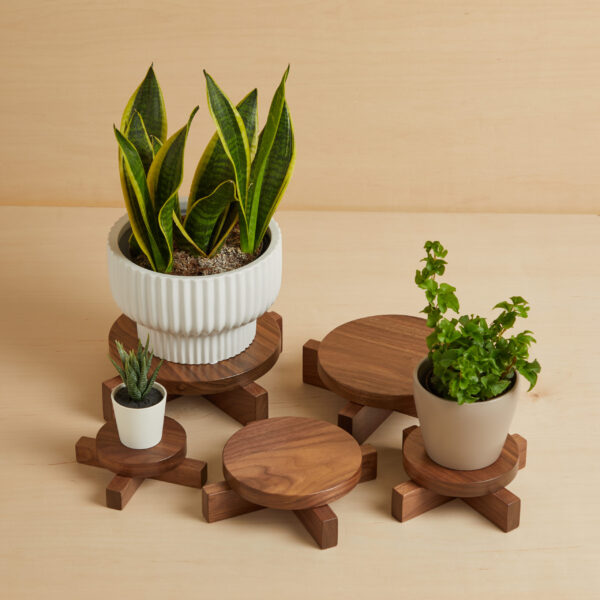 Counter Top Plant Stand