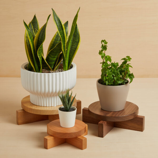 Counter Top Plant Stand