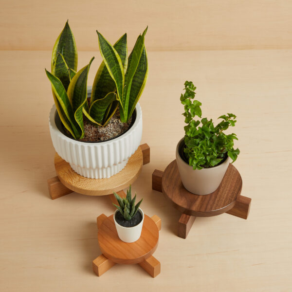 Counter Top Plant Stand